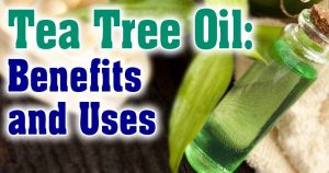 Tea Tree Oil and its benefits