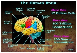 The human brain as a computer