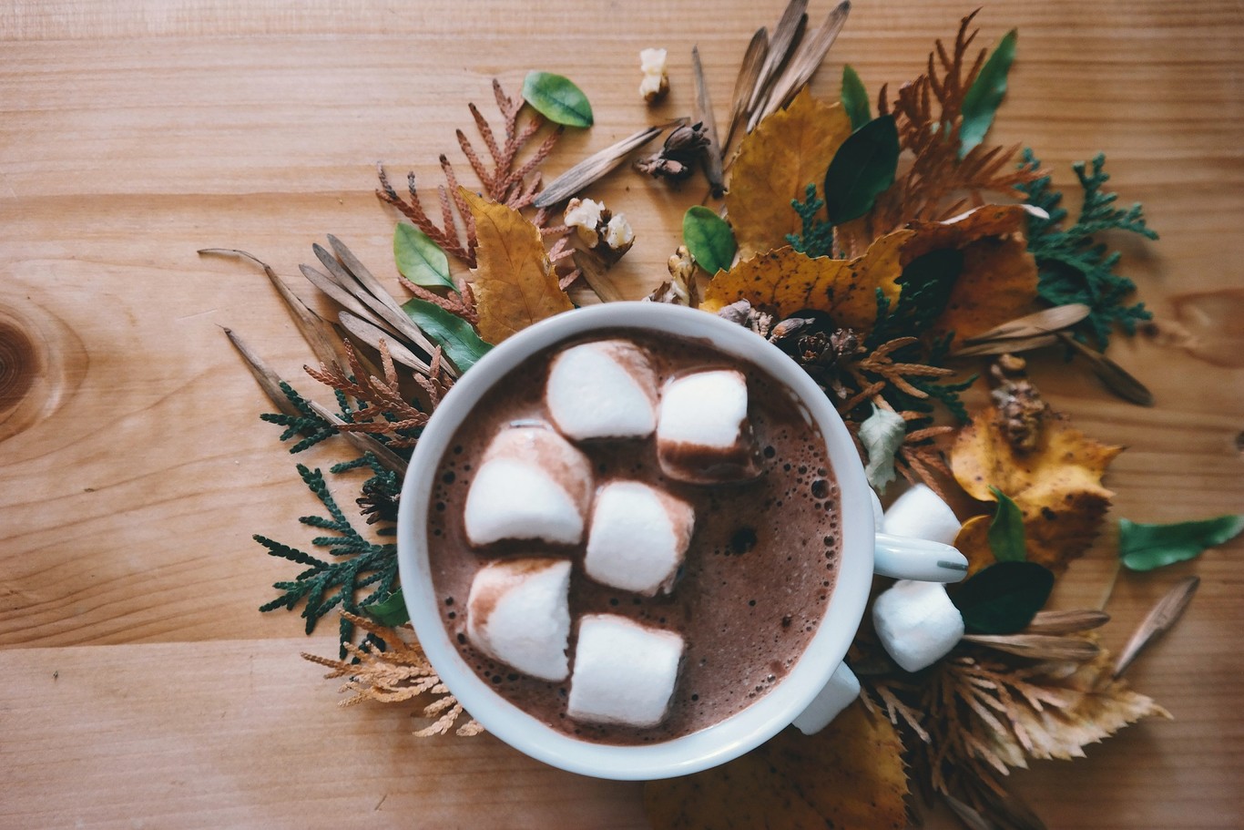 Traveling the world to discover the origin of hot chocolate