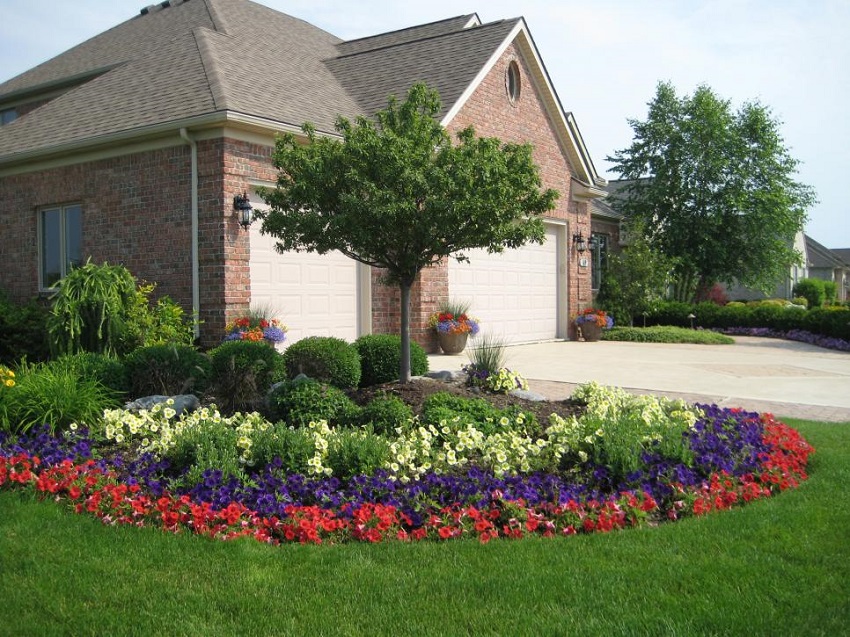 Flowers Can Add a Spot of Color to Your Yard