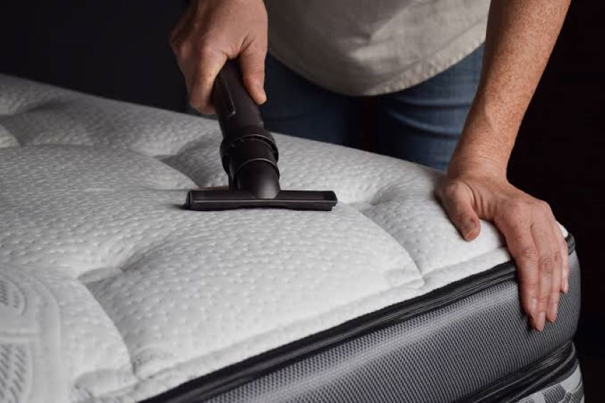 How to Find the Best Bed Vacuum Cleaner for Pet Hair in New York (NY)